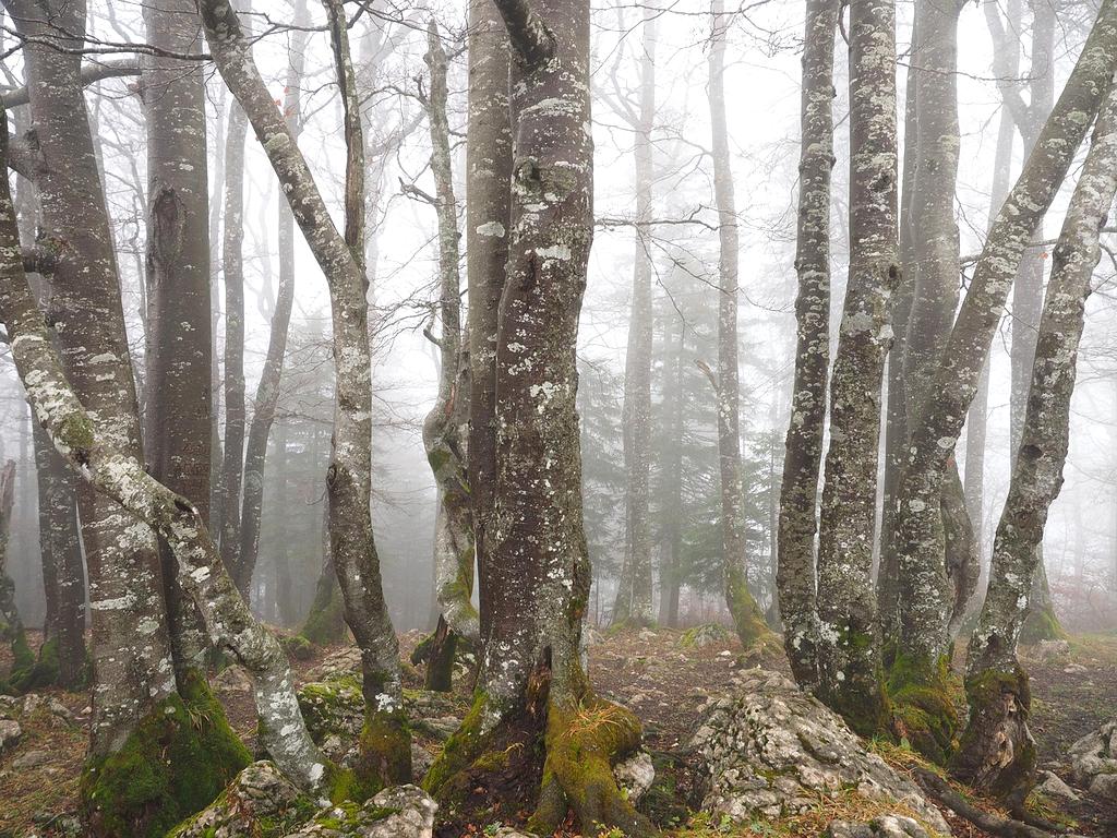 Booking confirmation icon