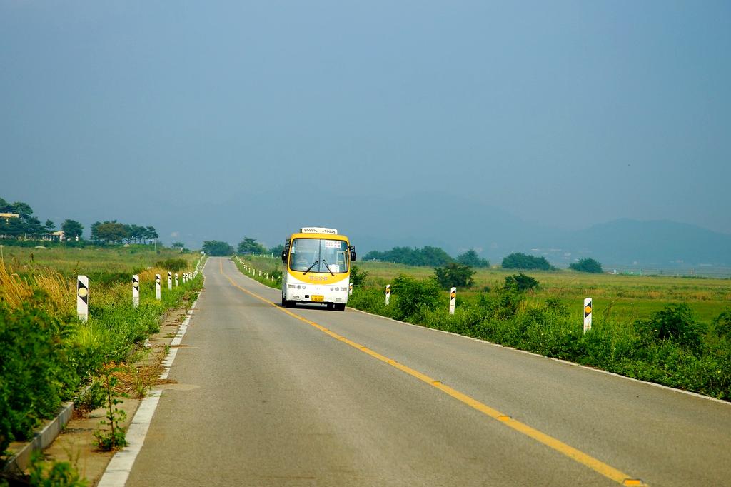 Eco-friendly bus representing sustainable ground transport